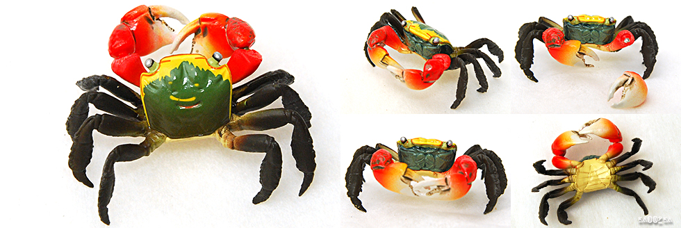 活水有魚 蝦蟹2館 原色甲殼類蝦蟹圖鑑1 原色甲殻類エビ カニ図鑑 改訂増補版